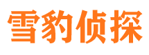 依安婚外情调查取证